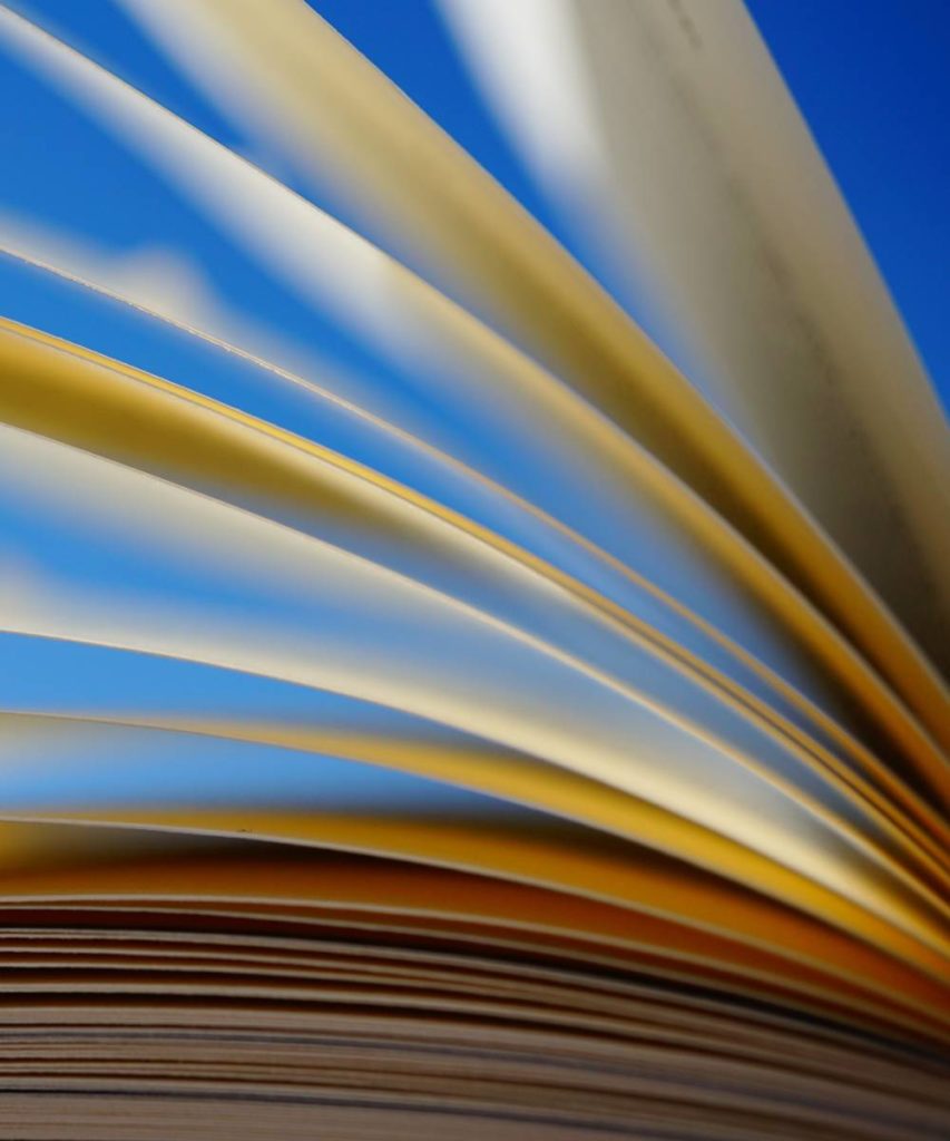 tra le pagine del libro
